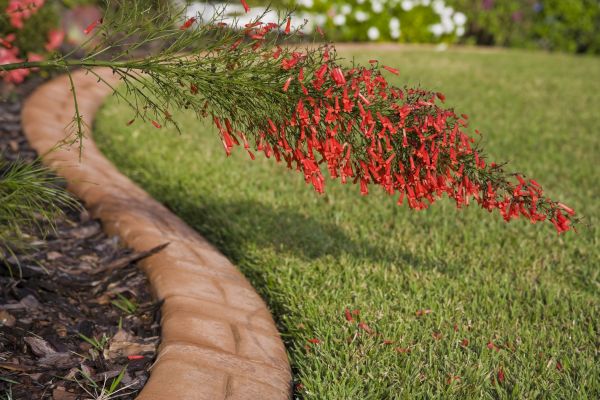 Brick Edging in Cranston